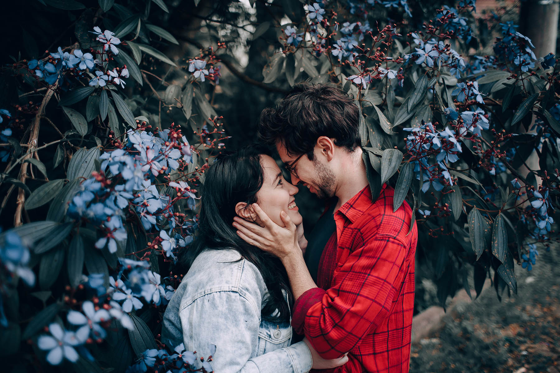Love Is A Curious Thing